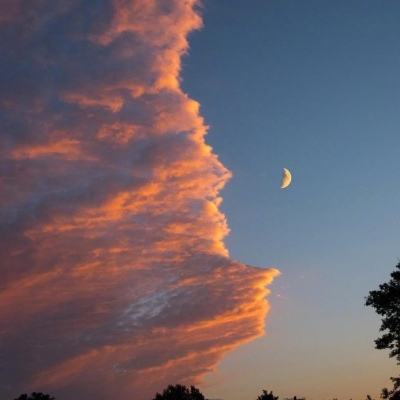 加拿大pc试玩平台下载手机版截图