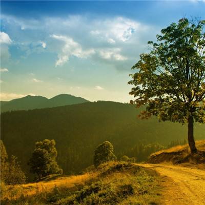 Kaiyun·开云体育app下载